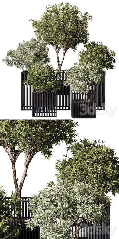 indoor Plant Set 380- Tree and Plant Set in pot